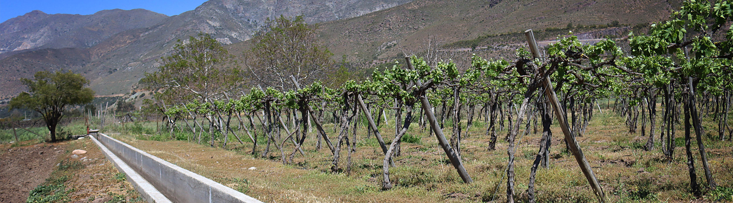 Banner-galería